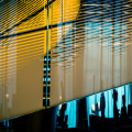 Job Growth in the Finance Industry in Northern Texas: An Expert Outlook